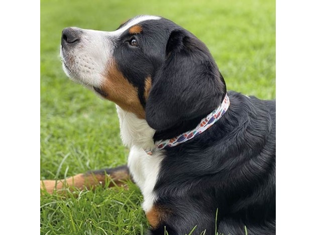 Collar Fantasy Geo y Plumas