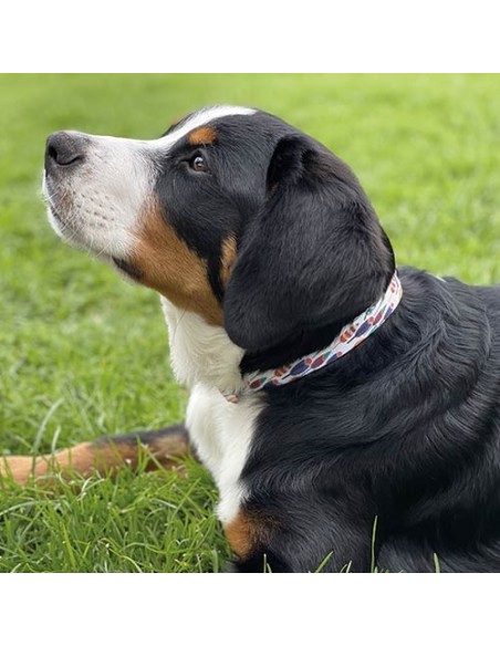 Collar Fantasy Geo y Plumas