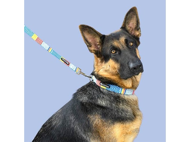 Collar Fantasy Geo y Plumas