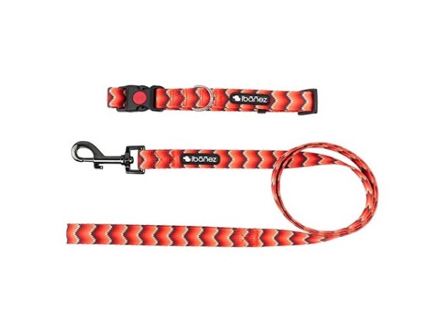 Correa Fantasy Snake y My Dog