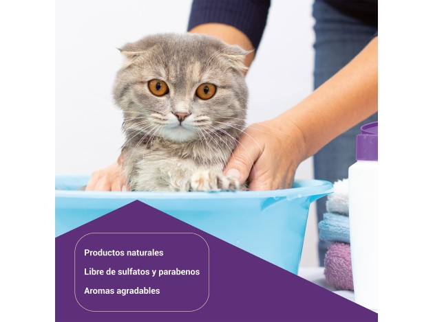 FDL Champú Antiolor