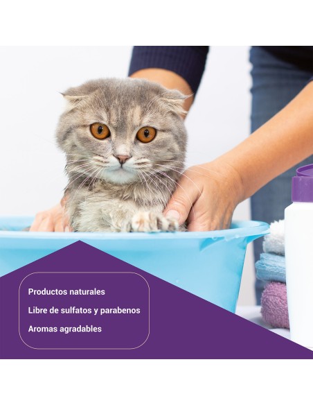 FDL Champú Antiolor