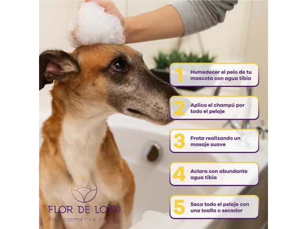 FDL Champú Antiolor