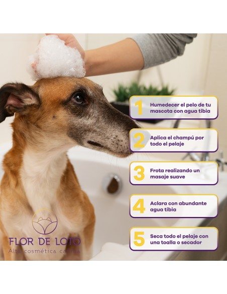 FDL Champú Antiolor