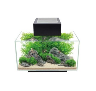Fluval Edge LED 2.0 Nano Acuario, Negro, 23L