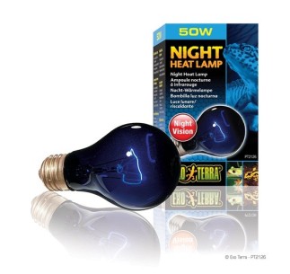 Exo Terra Night Heat Lamp, 50W