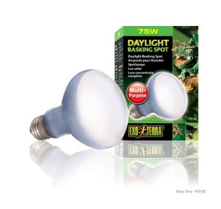 Exo Terra Daylight Basking Spot, 75W