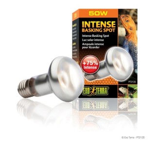 Exo Terra Intense Basking Spot, 50W