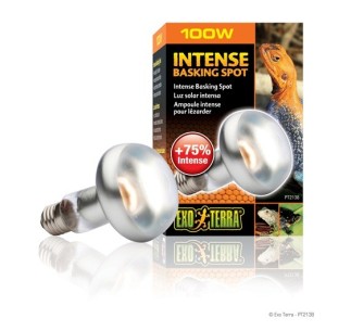 Exo Terra Intense Basking Spot, 100W