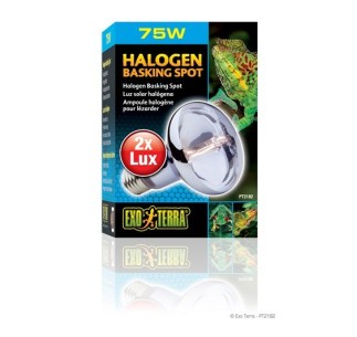 Exo Terra Halogen Basking Spot, 75W