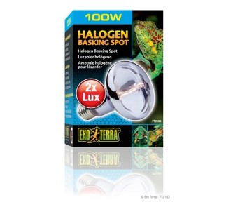 Exo Terra Halogen Basking Spot, 100W