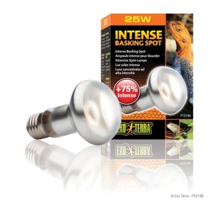 Exo Terra Intense Basking Spot, 25W