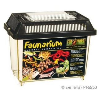 Exo Terra Faunarium, Mini