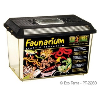 Exo Terra Faunarium, M