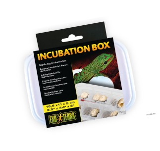Exo Terra Caja de Incubación