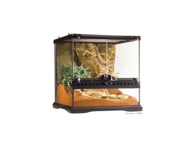 Exo Terra Terrario Mini/Wide, 27L, 30x30x30cm