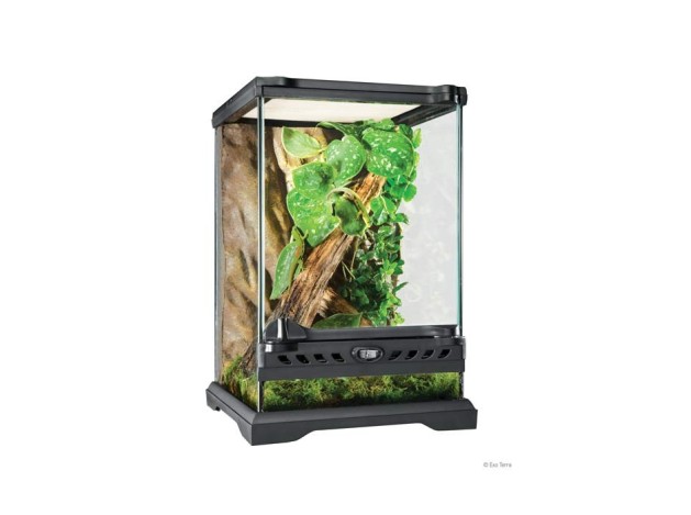 Exo Terra Terrario Nano/Tall, 16L, 22x22x33cm