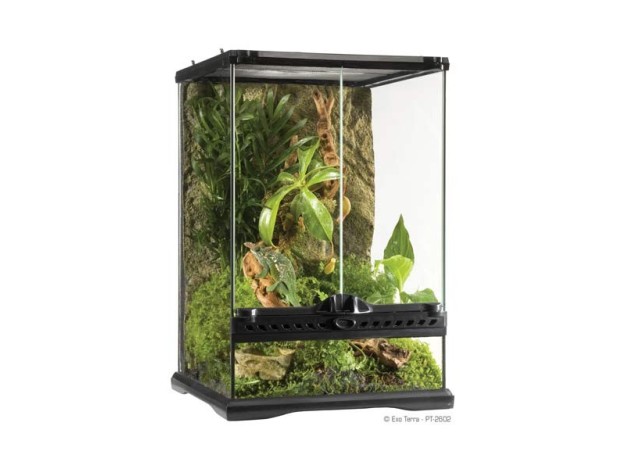 Exo Terra Terrario Mini/Tall, 40,5L, 30x30x45cm