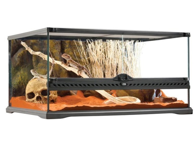 Exo Terra Terrario M/Low, 81L, 60X45X30cm