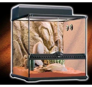 Exo Terra Habitat Kit Desértico 60L M. 45x45x45