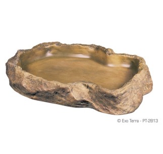 Exo Terra Comedero, L