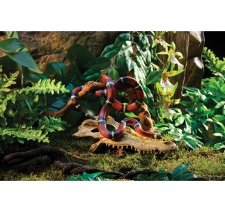 Exo Terra Crocodile Skull