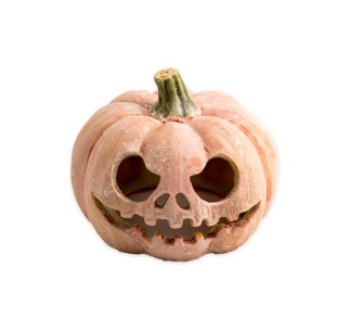 Exo Terra Calabaza Fluorescente 