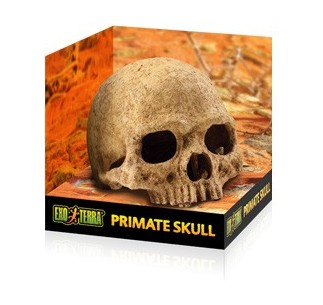 Exo Terra Dino Búfalo