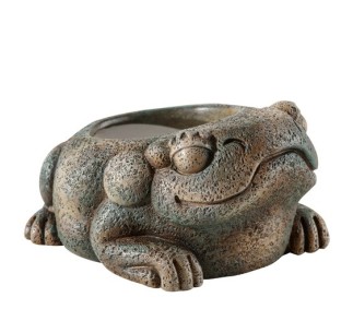 Exo Terra Bebedero Azteca Frog