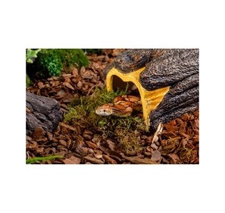 Exo Terra Wet Log - Cueva Humeda M.