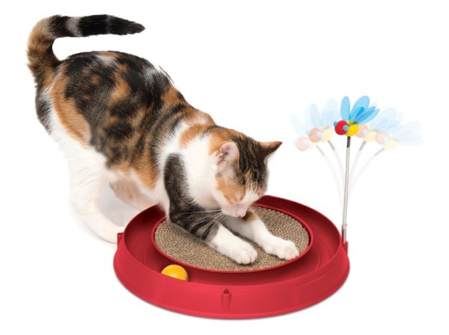 Catit Play Circuito Rascador