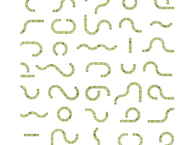 Catit Senses 2.0 Wave Circuit