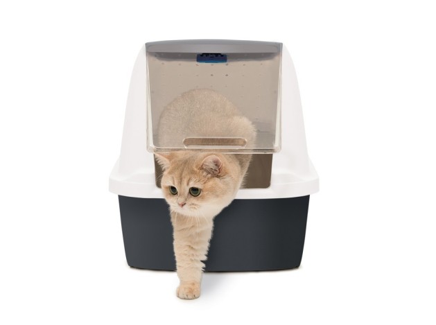 Catit Arenero Magic Blue, Mediana
