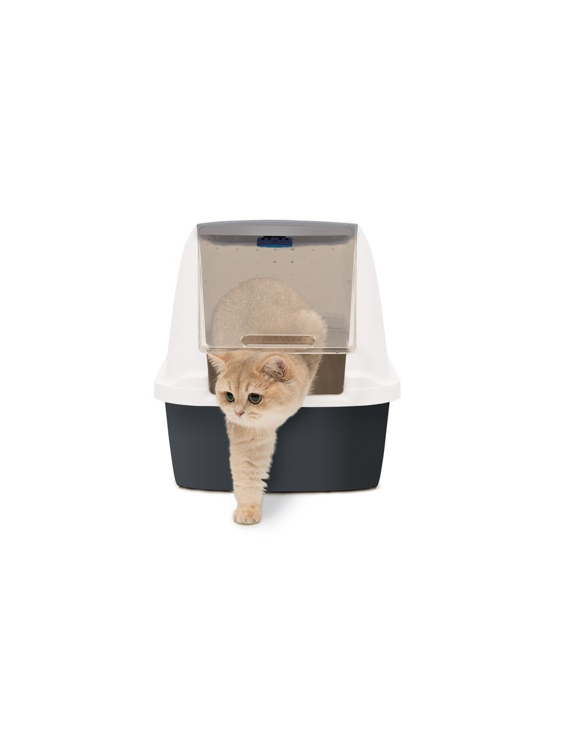 Catit Arenero Magic Blue, Mediana - MisMascotas