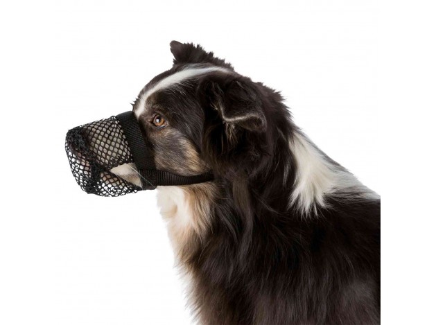 Protector contra Ingestas Peligrosas XL36 cm