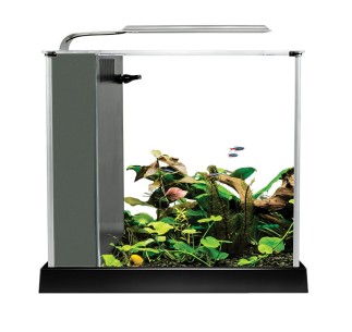 Fluval Spec Nano Acuario Negro, 10L