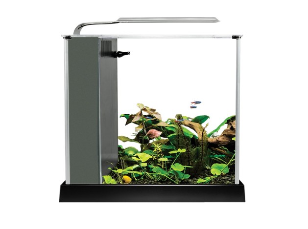 Fluval Spec Nano Acuario Negro, 10L