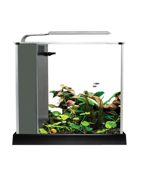 Fluval Spec Nano Acuario Negro, 10L