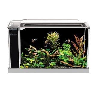 Fluval Spec Nano Acuario Blanco, 19L