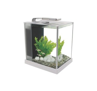 Fluval Spec Nano Acuario Blanco, 10L