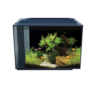Fluval Spec Nano Acuario Negro, 60L