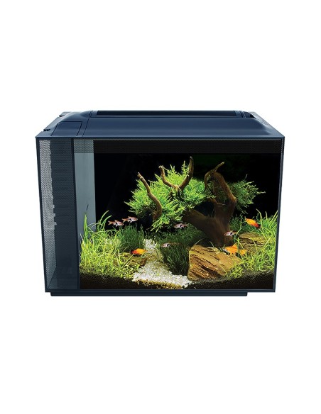 Fluval Spec Nano Acuario Negro, 60L