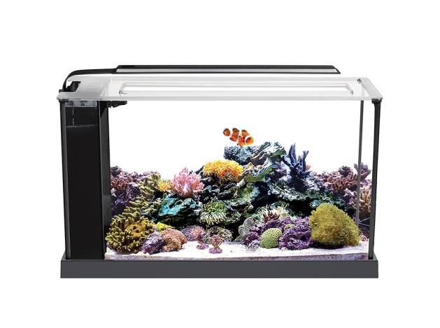 Fluval Evo Acuario Marino, Negro, 19L