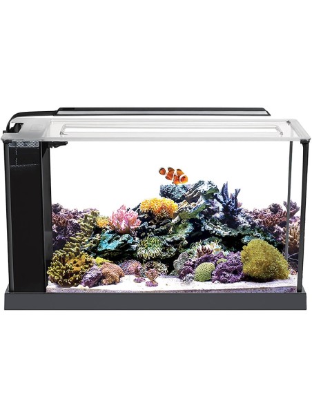 Fluval Evo Acuario Marino, Negro, 19L