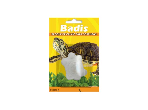 BADIS CALCIO TORTUGA