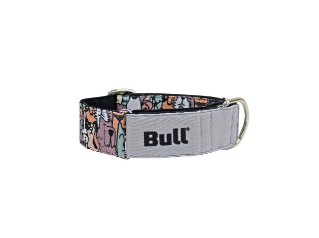 BULL COLLAR GALGO CLUB DOG