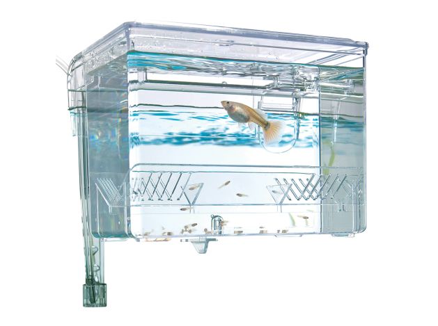 Fluval Breeding Box M, 1,2 L