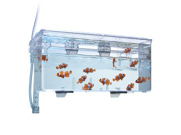 Fluval Breeding Box L, 2L