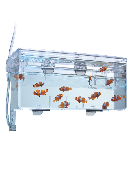 Fluval Breeding Box L, 2L