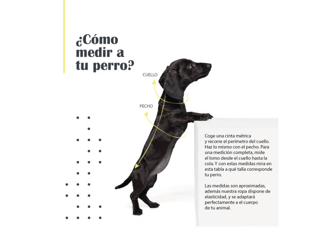 Mi&Dog Jersey Liso Marino T40 cm